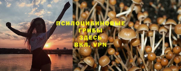 PSILOCYBIN Бугульма